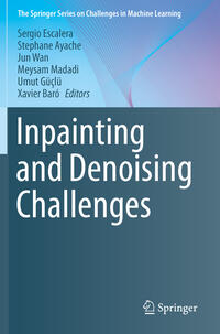 Inpainting and Denoising Challenges