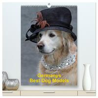 Germanys Best Dog Models - gestylte Labrador und Golden Retriever (hochwertiger Premium Wandkalender 2025 DIN A2 hoch), Kunstdruck in Hochglanz