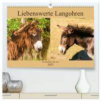 Liebenswerte Langohren - Die Schönheit der Esel (hochwertiger Premium Wandkalender 2025 DIN A2 quer), Kunstdruck in Hochglanz