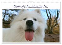 Samojedenhündin Isa (Wandkalender 2025 DIN A3 quer), CALVENDO Monatskalender