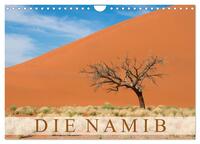 Die Namib (Wandkalender 2025 DIN A4 quer), CALVENDO Monatskalender