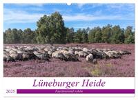 Lüneburger Heide - Faszinierend schön (Wandkalender 2025 DIN A2 quer), CALVENDO Monatskalender