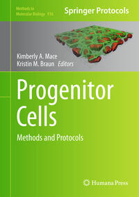 Progenitor Cells