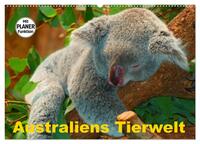 Australiens Tierwelt (Wandkalender 2025 DIN A2 quer), CALVENDO Monatskalender