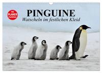 Pinguine - Watscheln im festlichen Kleid (Wandkalender 2025 DIN A3 quer), CALVENDO Monatskalender