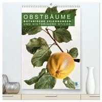 Obstbäume: Botanische Zeichnungen und historische Stiche (hochwertiger Premium Wandkalender 2025 DIN A2 hoch), Kunstdruck in Hochglanz