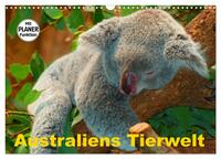 Australiens Tierwelt (Wandkalender 2025 DIN A3 quer), CALVENDO Monatskalender