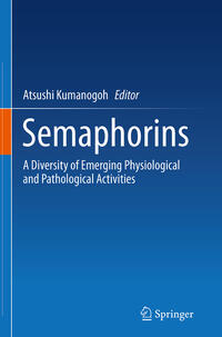 Semaphorins