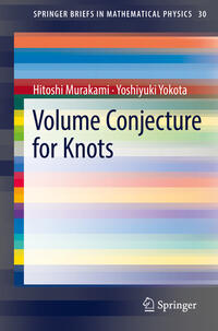 Volume Conjecture for Knots