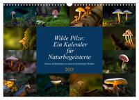 Wilde Pilze: Ein Kalender für Naturbegeisterte (Wandkalender 2025 DIN A3 quer), CALVENDO Monatskalender