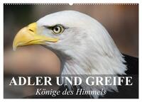 Adler und Greife - Könige des Himmels (Wandkalender 2025 DIN A2 quer), CALVENDO Monatskalender