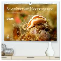 Bewohner am Meeresgrund (hochwertiger Premium Wandkalender 2025 DIN A2 quer), Kunstdruck in Hochglanz