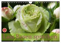 Lass Rosen sprechen (Wandkalender 2025 DIN A4 quer), CALVENDO Monatskalender