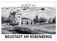 Ein Blick auf Neustadt am Rübenberge (Wandkalender 2025 DIN A3 quer), CALVENDO Monatskalender