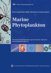 Marine Phytoplankton