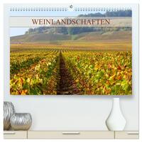 Weinlandschaften (hochwertiger Premium Wandkalender 2025 DIN A2 quer), Kunstdruck in Hochglanz