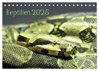 Reptilien 2025 (Tischkalender 2025 DIN A5 quer), CALVENDO Monatskalender