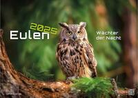 Eulen - Wächter der Nacht - 2025 - Kalender DIN A3