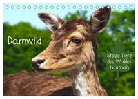 Damwild - stolze Tiere des Waldes hautnah (Tischkalender 2025 DIN A5 quer), CALVENDO Monatskalender