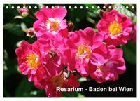 Baden bei Wien - Rosarium (Tischkalender 2025 DIN A5 quer), CALVENDO Monatskalender