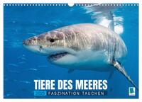 Tiere des Meeres: Faszination Tauchen (Wandkalender 2025 DIN A3 quer), CALVENDO Monatskalender