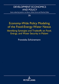 Economy-Wide Policy Modeling of the Food-Energy-Water Nexus