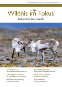 Wildnis im Fokus III