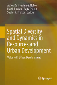 Spatial Diversity and Dynamics in Resources and Urban Development