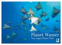 Planet Wasser: Von wegen Planet Erde (Wandkalender 2025 DIN A2 quer), CALVENDO Monatskalender