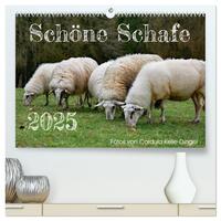 Schöne Schafe (hochwertiger Premium Wandkalender 2025 DIN A2 quer), Kunstdruck in Hochglanz