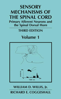 Sensory Mechanisms of the Spinal Cord