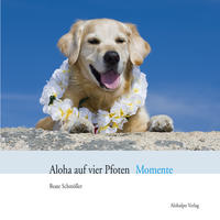 Aloha auf vier Pfoten Momente