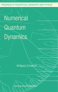 Numerical Quantum Dynamics