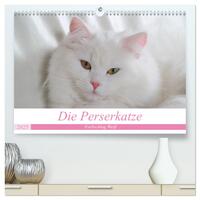 Die Perserkatze - Farbschlag Weiß (hochwertiger Premium Wandkalender 2025 DIN A2 quer), Kunstdruck in Hochglanz