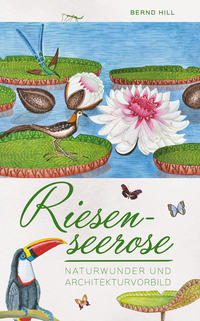 Riesenseerose