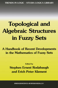 Topological and Algebraic Structures in Fuzzy Sets