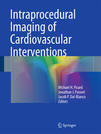 Intraprocedural Imaging of Cardiovascular Interventions