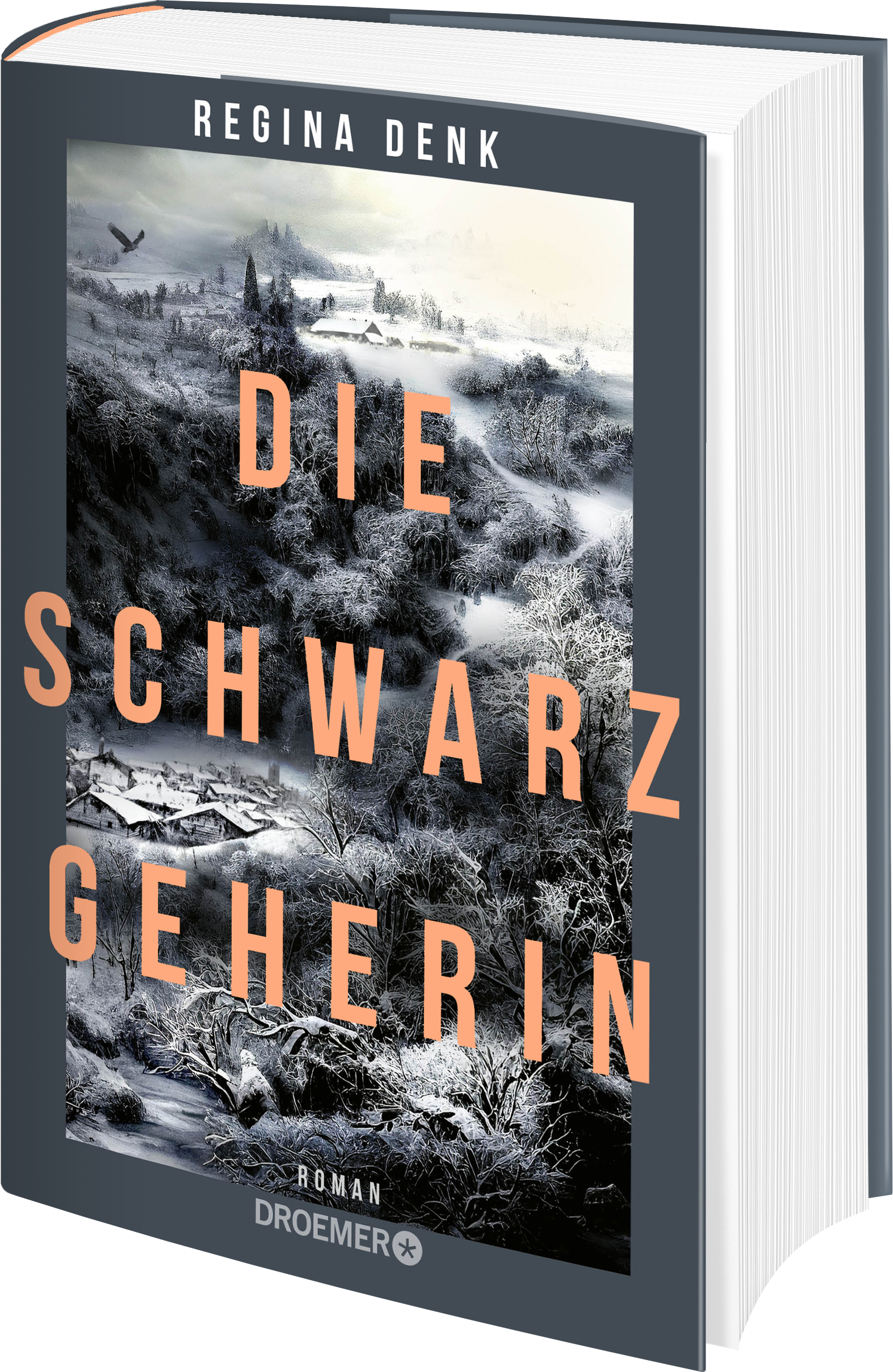 Die Schwarzgeherin