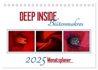 DEEP INSIDE - Blütenmakros als Monatsplaner (Tischkalender 2025 DIN A5 quer), CALVENDO Monatskalender