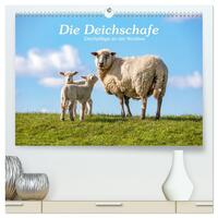 Die Deichschafe. Deichpflege an der Nordsee (hochwertiger Premium Wandkalender 2025 DIN A2 quer), Kunstdruck in Hochglanz