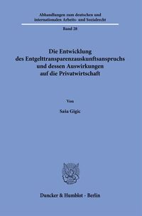 Die Entwicklung des Entgelttransparenzauskunftsanspruchs und dessen Auswirkungen auf die Privatwirtschaft