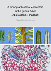 A monograph of leaf characters in the genus Abies (Abietiodae, Pinacea)