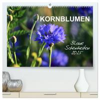 Kornblumen - Blaue Schönheiten (hochwertiger Premium Wandkalender 2025 DIN A2 quer), Kunstdruck in Hochglanz