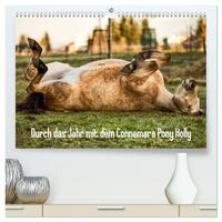 Durch das Jahr mit dem Connemara Pony Holly (hochwertiger Premium Wandkalender 2025 DIN A2 quer), Kunstdruck in Hochglanz