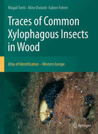 Traces of Common Xylophagous Insects in Wood