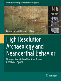 High Resolution Archaeology and Neanderthal Behavior