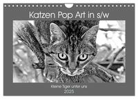 Katzen Pop Art in s/w - Kleine Tiger unter uns (Wandkalender 2025 DIN A4 quer), CALVENDO Monatskalender