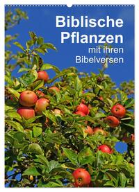 Biblische Pflanzen mit ihren Bibelversen (Wandkalender 2025 DIN A2 hoch), CALVENDO Monatskalender