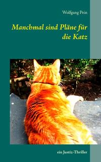 Manchmal sind Pläne für die Katz