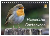 Heimische Gartenvögel (Tischkalender 2025 DIN A5 quer), CALVENDO Monatskalender